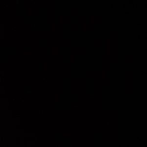 Meet your Posher, Lia